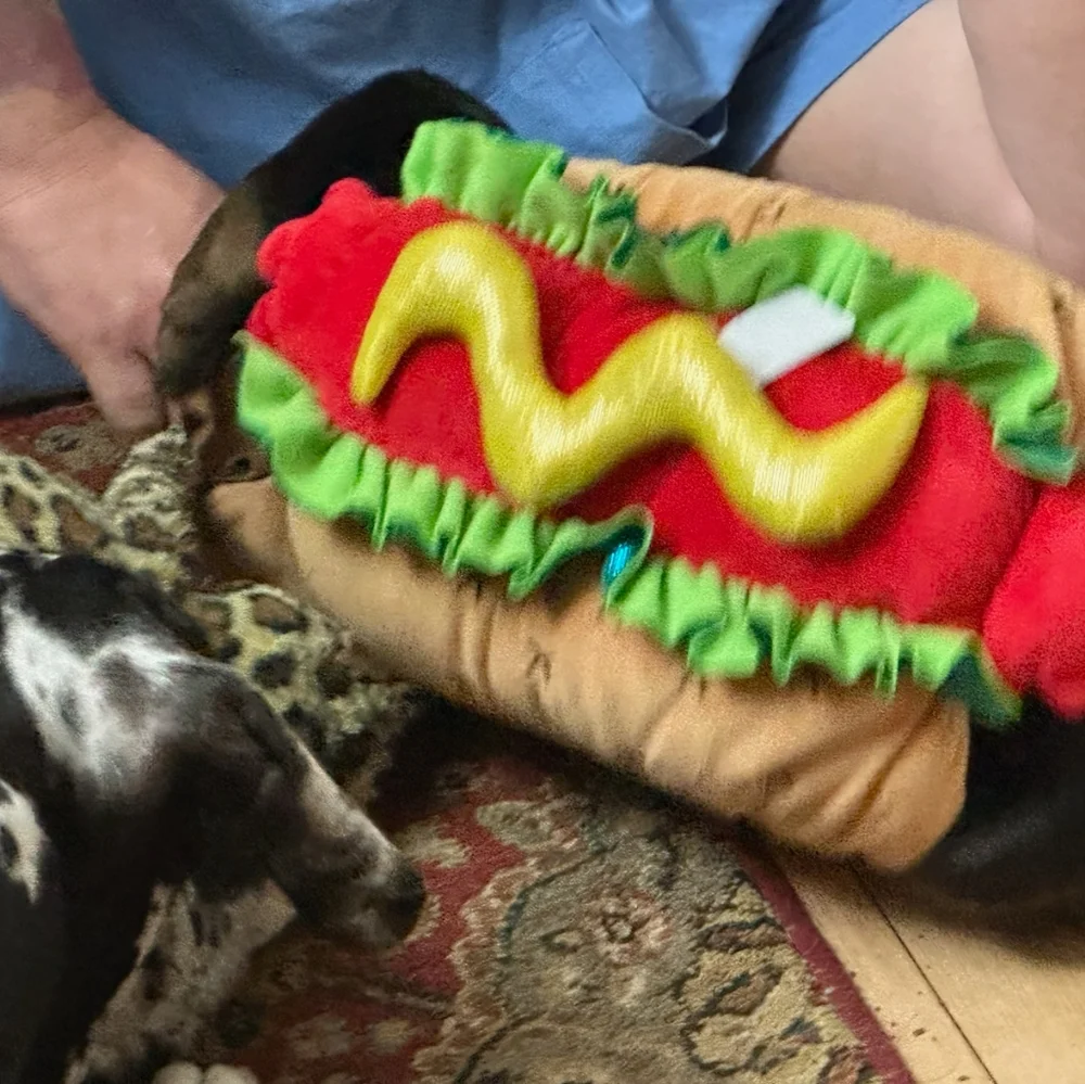 Trail & Noses Hot Dog Costume for Your Dog Size Medium - Picture 6 of 8